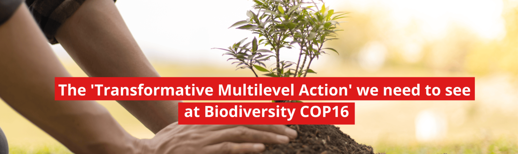 The 'Transformative Multilevel Action' we need to see at Biodiversity COP16